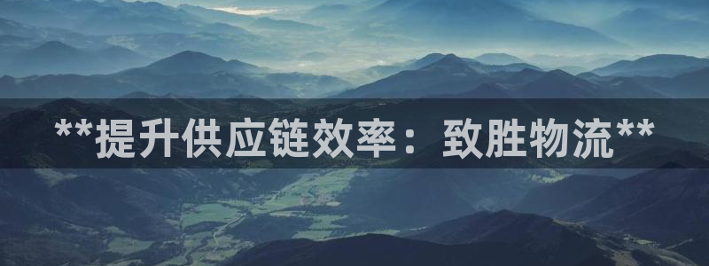 28圈登录网：**提升供应链效率：致