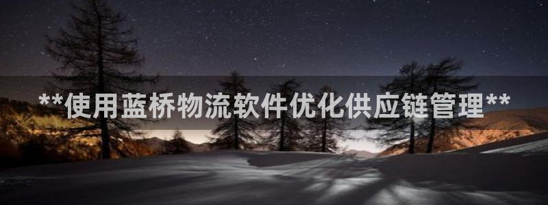 28圈：**使用蓝桥物流软件优化供应