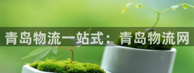 28圈注册网站链接怎么弄：青岛物流一