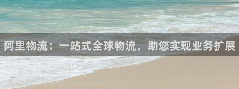 28圈注册网站：阿里物流：一站式全球