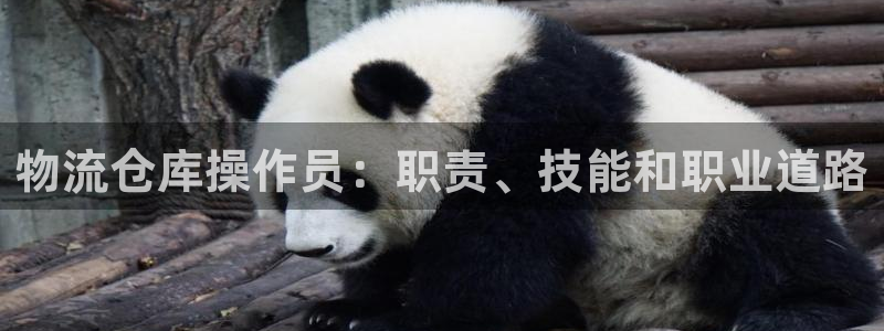 28圈加拿大28
