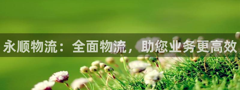 28圈游戏官网版：永顺物流：全面物流