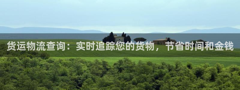 28圈.ccmo：货运物流查询：实时