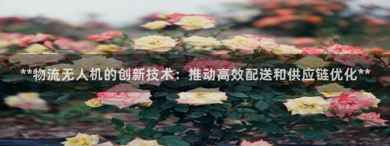 28圈取保：**物流无人机的创新技术