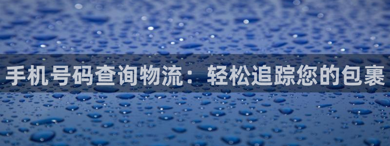 28圈是正规平台吗