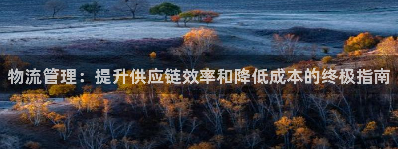 28圈登录不上咋回事：物流管理：提升