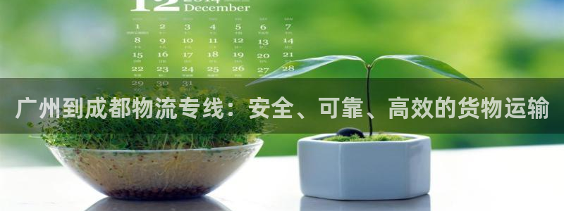 28圈p扣除