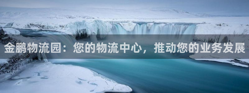 28圈哪个最赚钱
