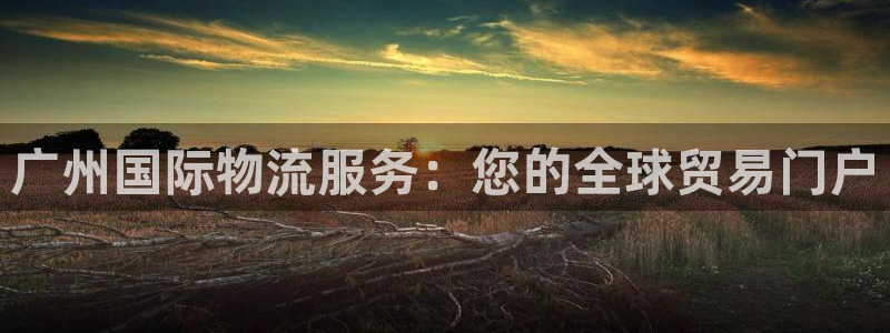 28圈加拿大走势：广州国际物流服务：