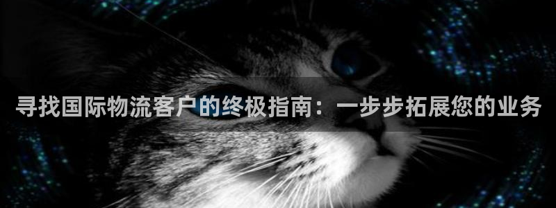 28圈充值不到账：寻找国际物流客户的