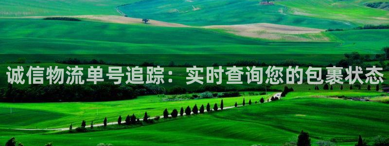 28圈相信品牌的力量：诚信物流单号追
