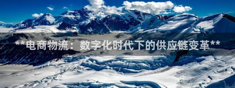 28圈登录不上咋回事：**电商物流：