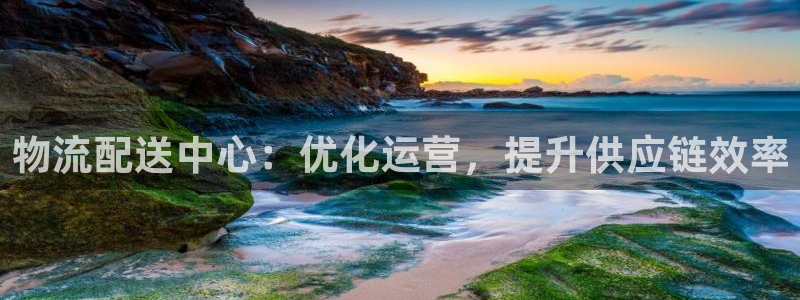 28圈注册地址：物流配送中心：优化运