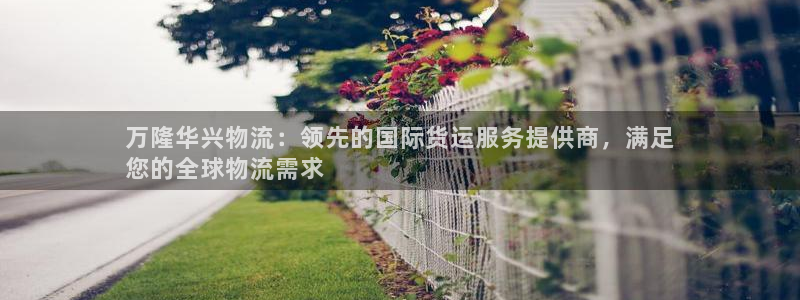 28圈最稳打法
