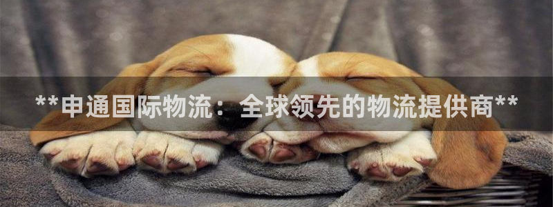 28圈犯法吗