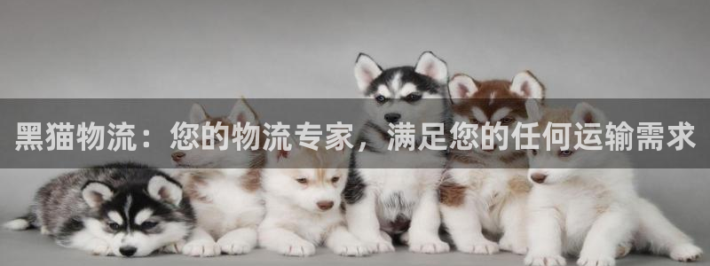 28圈反水