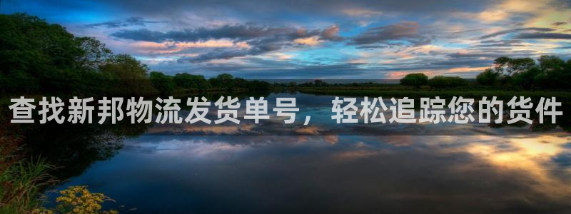 28圈链接：查找新邦物流发货单号，轻