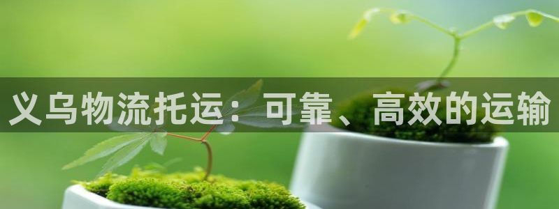28圈加拿大能提现吗