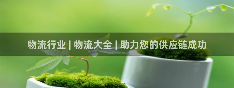 28圈违法吗