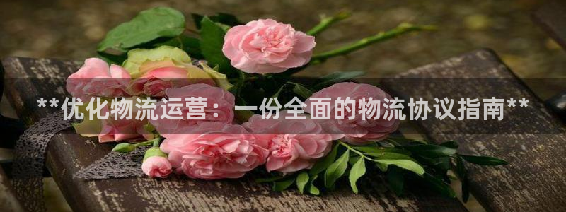 28圈圈助手：**优化物流运营：一份