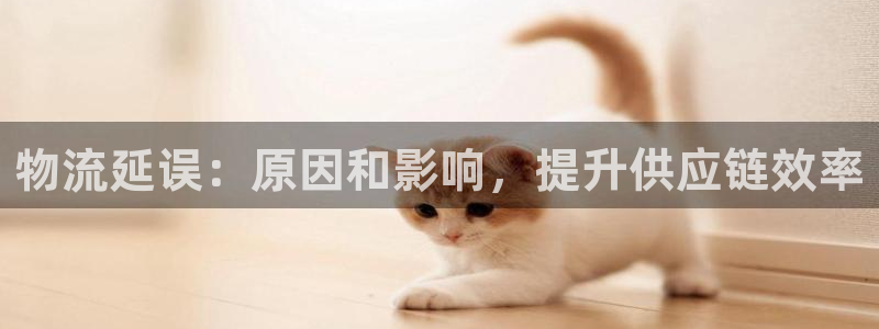28圈登录：物流延误：原因和影响，提