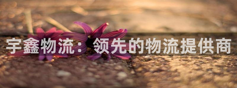 28圈充值金额随便：宇鑫物流：领先的