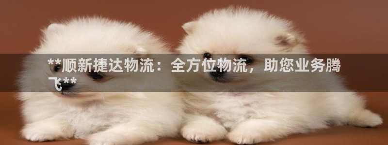 28圈充值金额随便