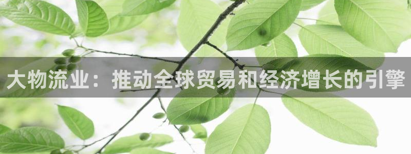 28圈加拿大能提现吗：大物流业：推动