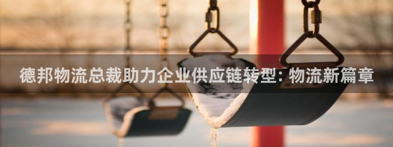 28圈在线预测官网：德邦物流总裁助力
