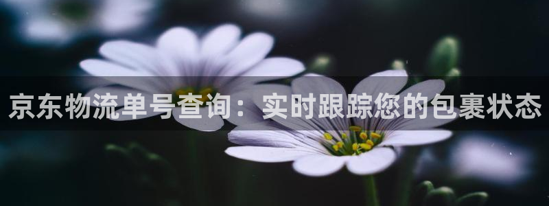 28圈犯法吗