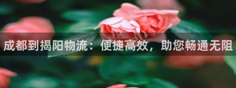 28圈下载二维码怎么弄：成都到揭阳物