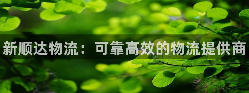 28圈注册登录链接流程：新顺达物流：