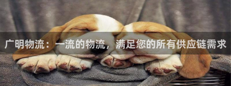 28圈麻将：广明物流：一流的物流，满