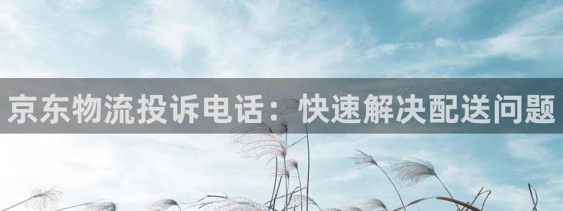 28圈模拟器在线使用：京东物流投诉电