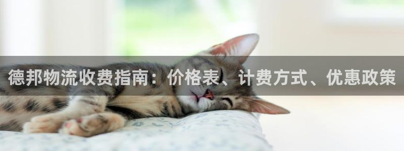 28圈和南宫28什么关系：德邦物流收费指南：价格表、计费方式
