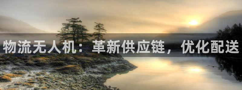 28圈赌博被抓：物流无人机：革新供应