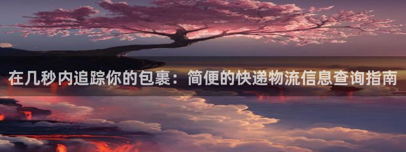 28圈违法吗：在几秒内追踪你的包裹：