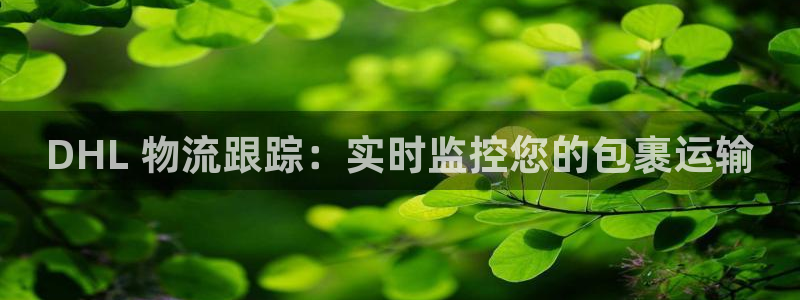 28圈链官网：DHL 物流跟踪：实时