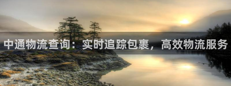 28圈注册网站多少：中通物流查询：实时追踪包裹，高效物流服务