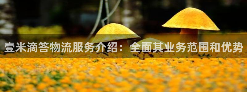 28圈如何退款：壹米滴答物流服务介绍