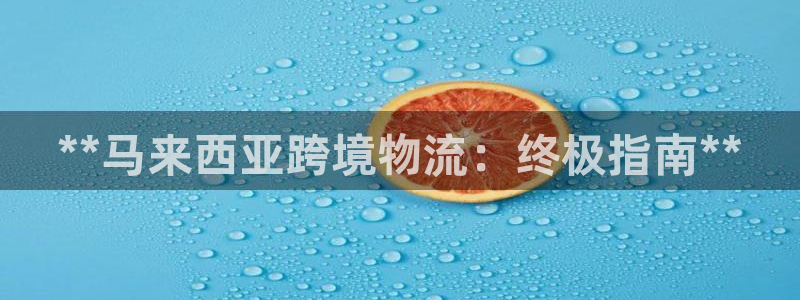 28圈注册链接教程：**马来西亚跨境
