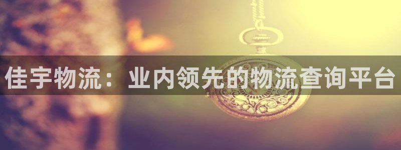 28圈麻将胡了爆分视频：佳宇物流：业