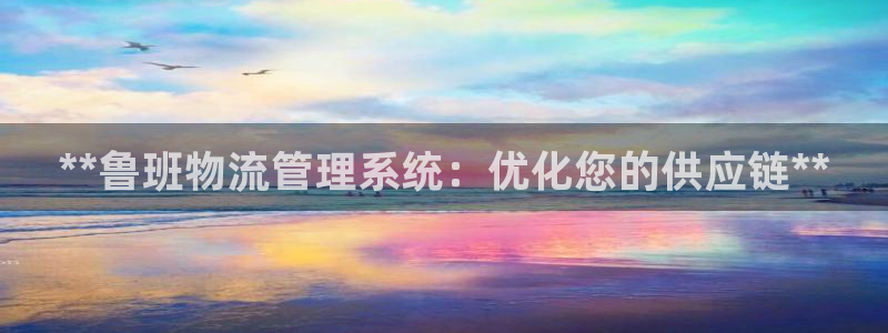 28圈激活码：**鲁班物流管理系统：