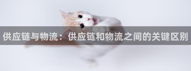 28圈网赌案件：供应链与物流：供应链