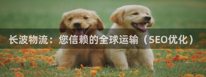 28圈v6能卖多少：长波物流：您信赖