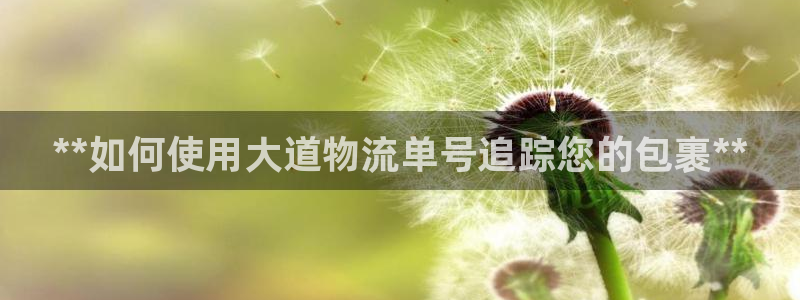 28圈旗下：**如何使用大道物流单号