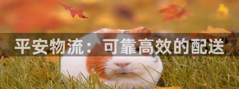 28圈不给提现：平安物流：可靠高效的