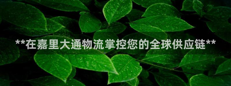 28圈加拿大app预测：**在嘉里大