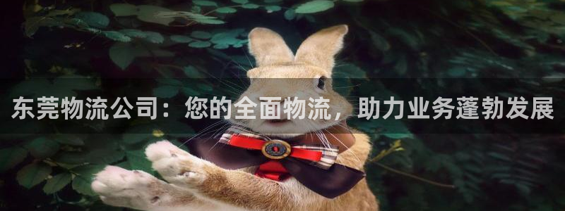 28圈怎么注册账号和密码：东莞物流公