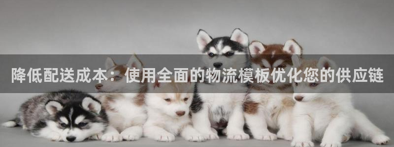 28圈连输10天：降低配送成本：使用